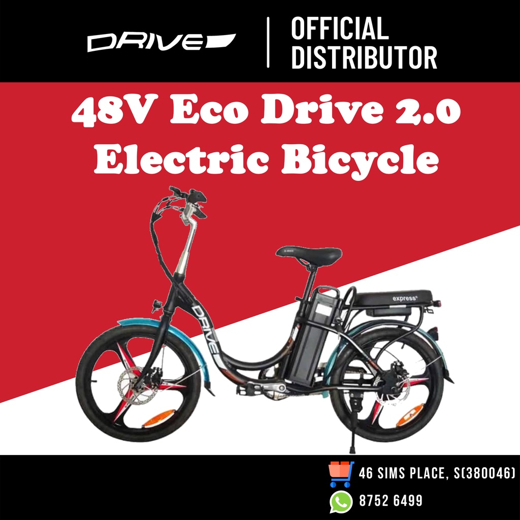 eco drive ebike battery 48v