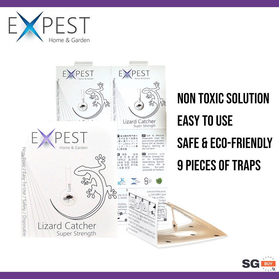 SG Seller] EXPEST Home Reptile/Lizard Sticky Trap Pest Control Stop Pests  Insect Bait Killer Non-Toxic (Cicak/Gecko)