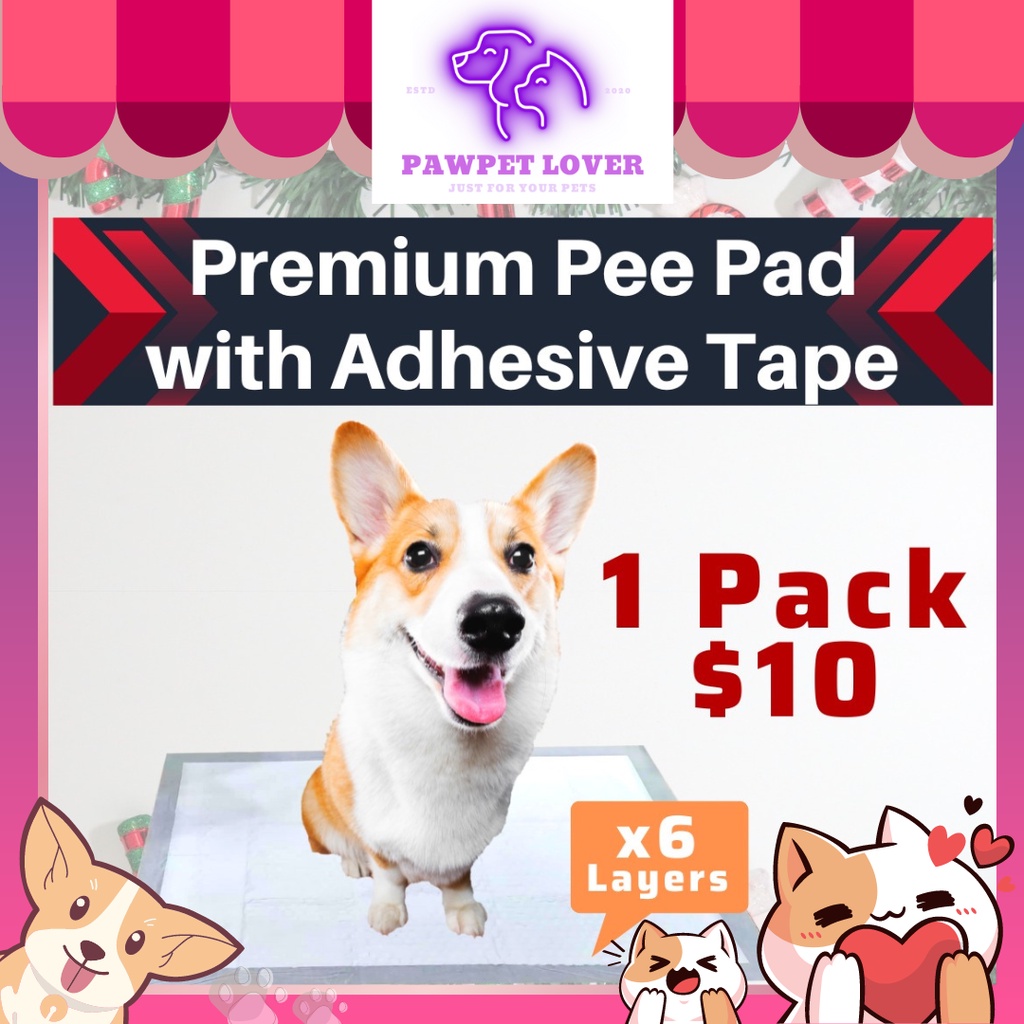 Pee pads 2024 with adhesive backing