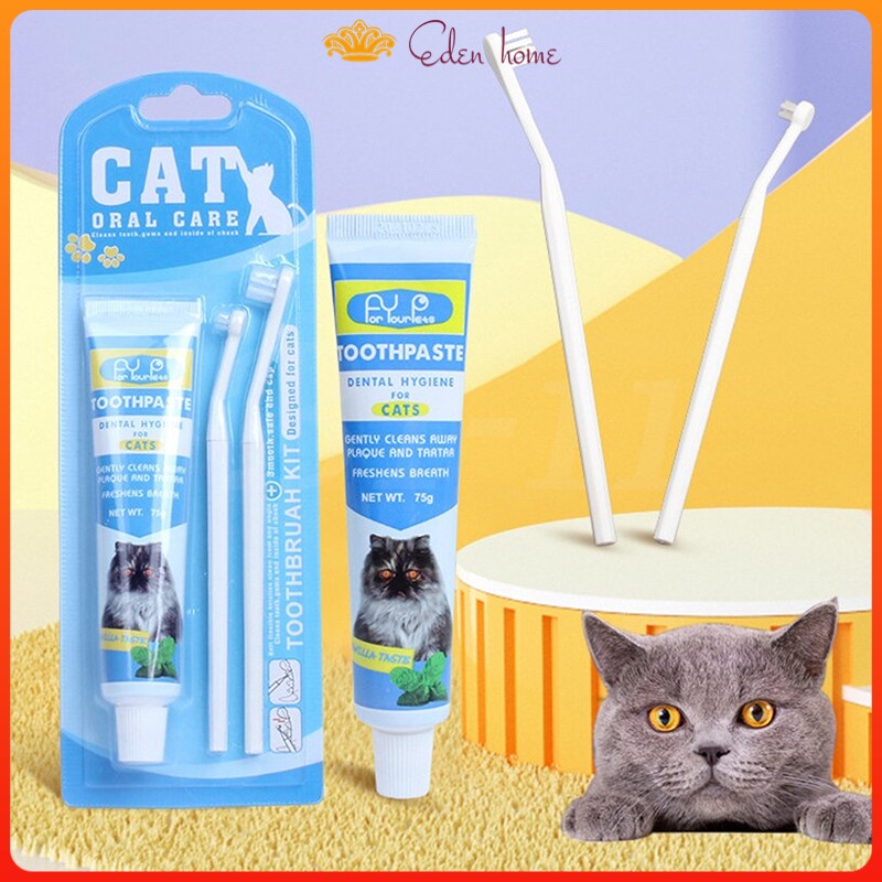 Cat toothbrush outlet and toothpaste