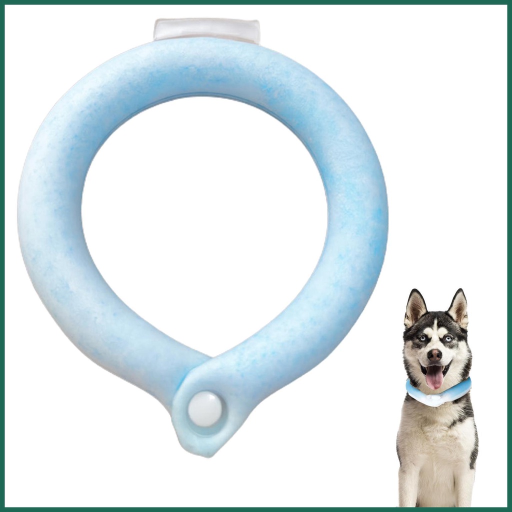 Ice collar 2024 for dogs