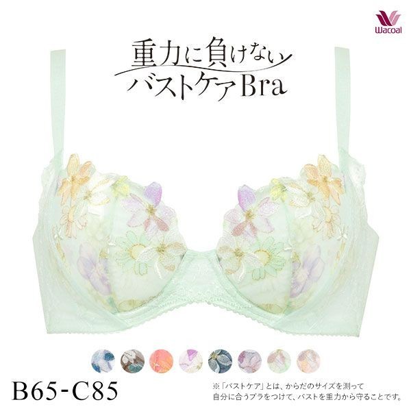 Shirohato Global on X: Pretty plus-size Japanese Bra Set (E-F