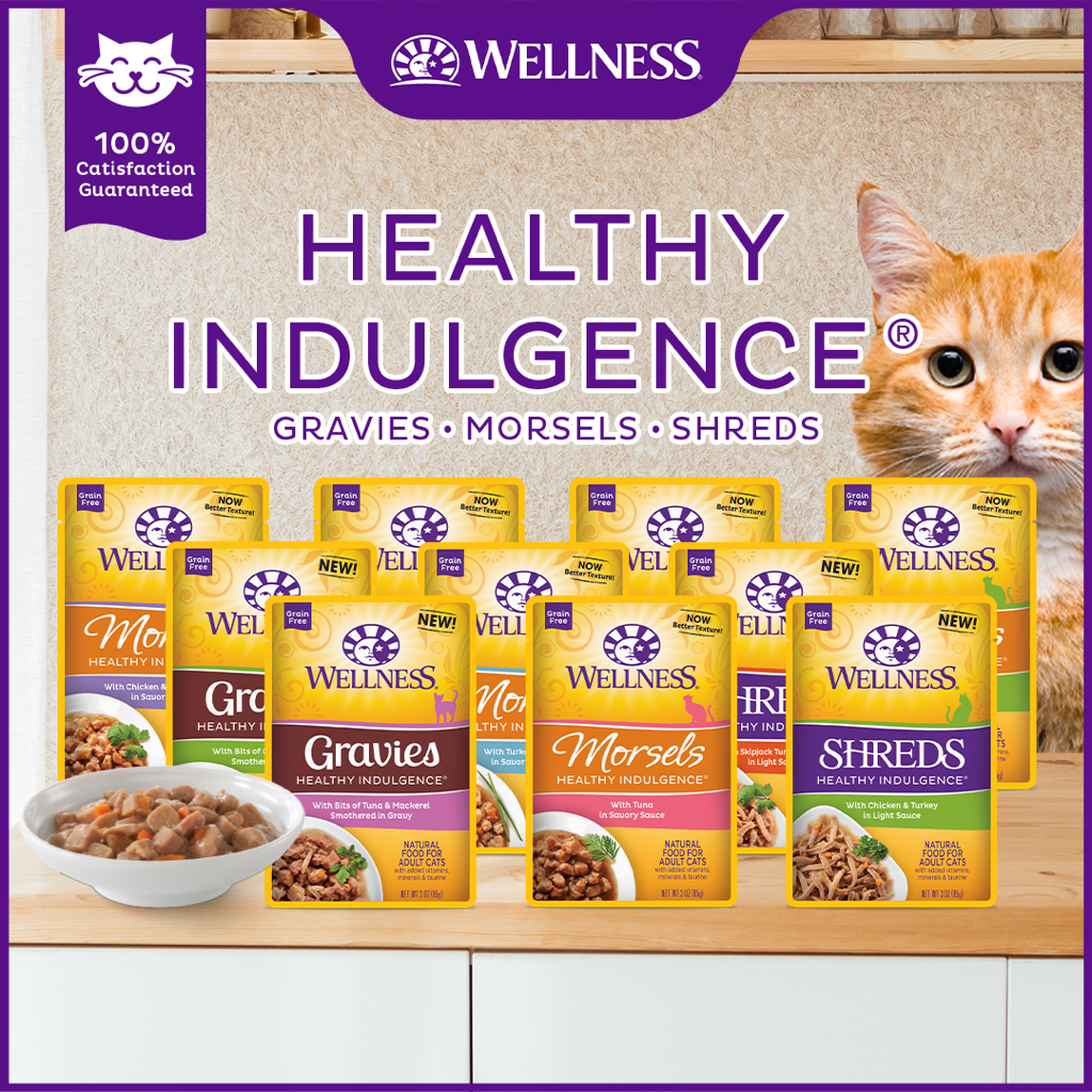 Wellness Complete Health Healthy Indulgence Wet Cat Food 3oz