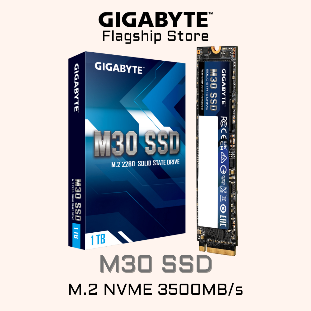 GIGABYTE M30 SSD PCIe 3.0 M.2 NVME 1TB Internal Solid State