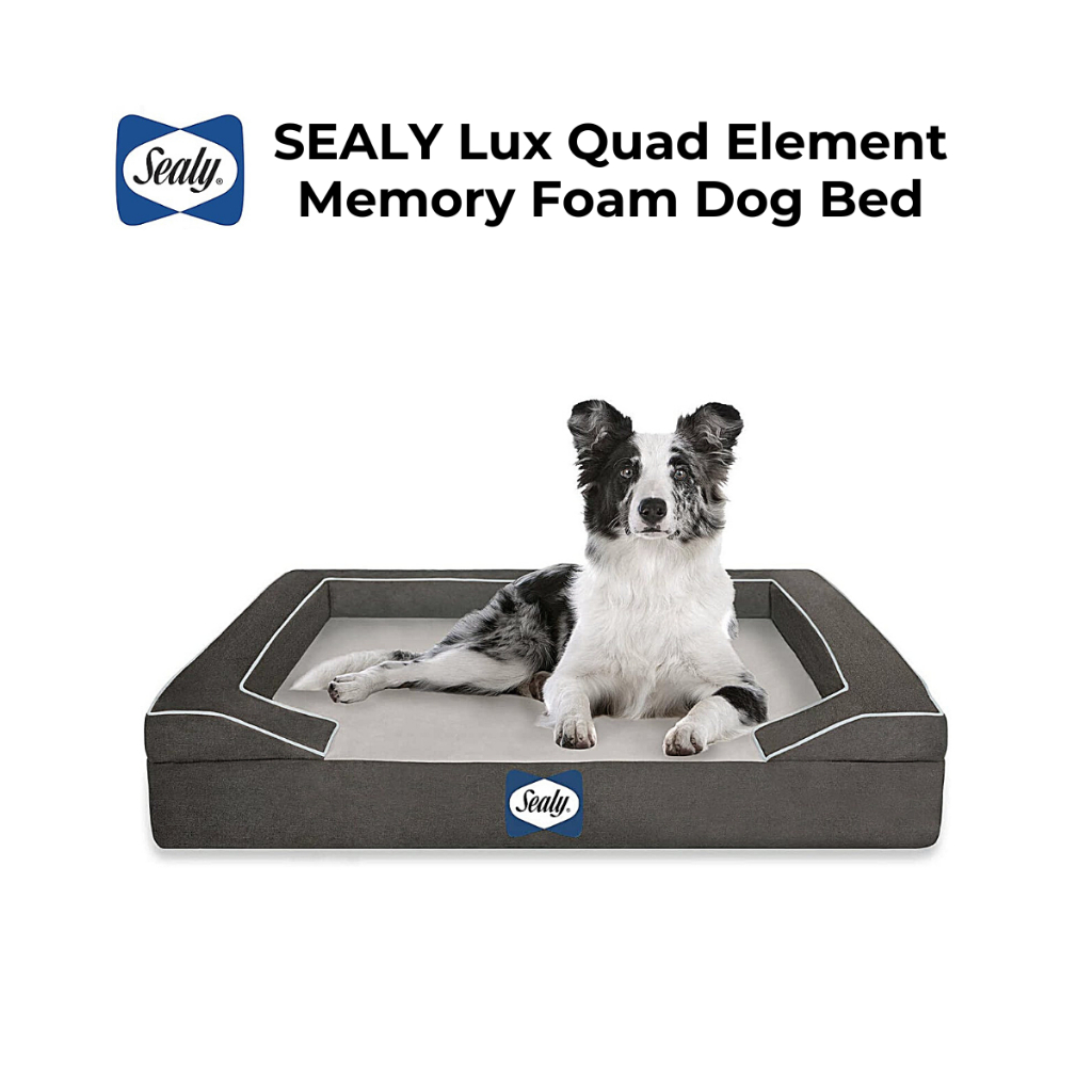 SEALY Lux Quad Element Memory Foam Dog Bed Grey Shopee Singapore