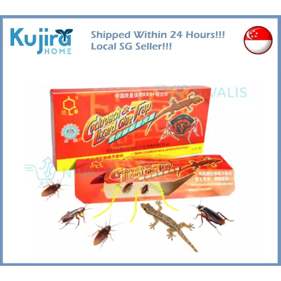 Kujira Homes- Large Lizard Traps Glue Trap