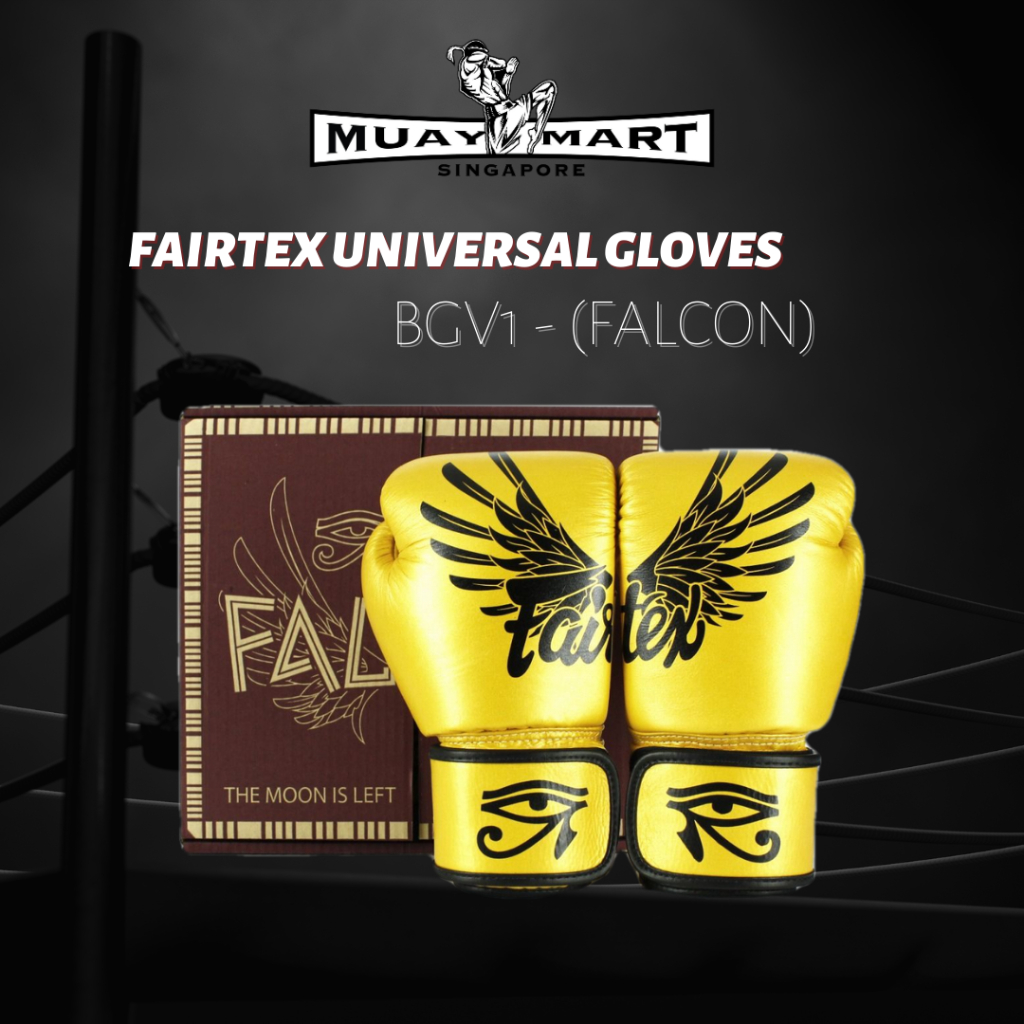 Fairtex falcon hot sale