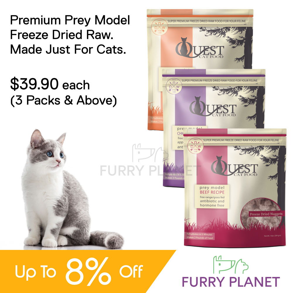 Quest Freeze Dried Raw Cat Food Prey Model Diet Beef Chicken