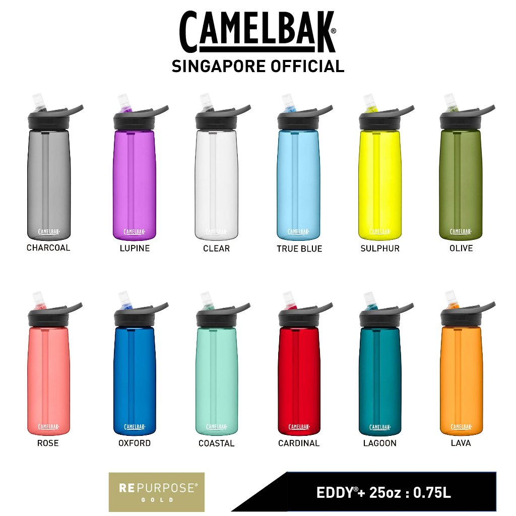 Replacement Straws for CamelBak eddy Kids 12oz Water Bottle,Accessories Set  Include 5 BPA-FREE Straws and 1 Cleaning Brush