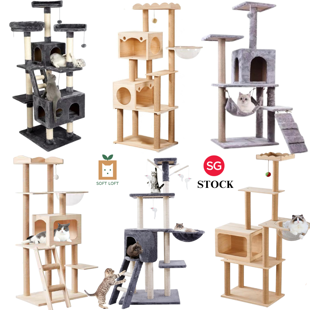 Cat store condo shopee