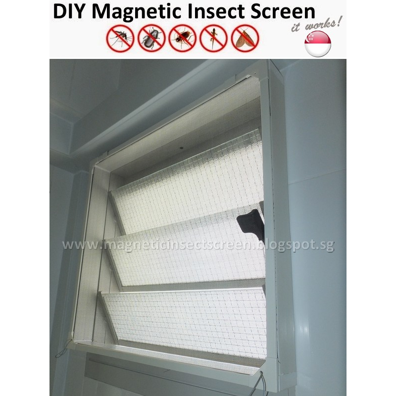 Insect Screens (DIY)