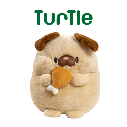 Pusheen turtle best sale