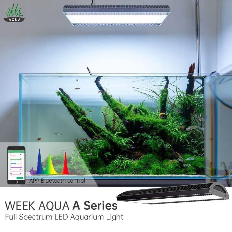 week aqua A430 pro | Shopee Singapore