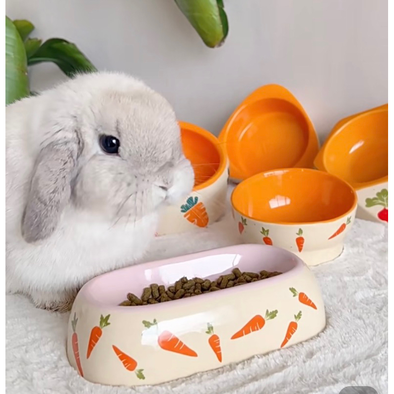 Bunny water outlet bowl