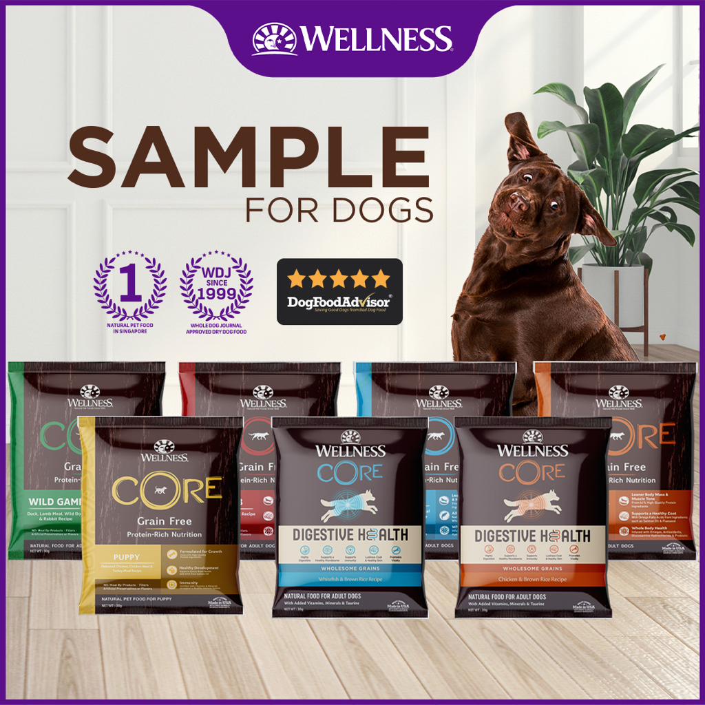 Sample Wellness CORE Grain Free Dry Dog Food Shopee Singapore