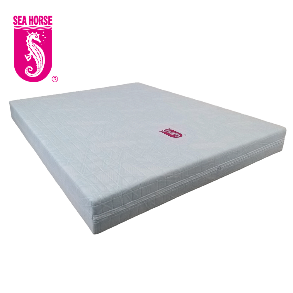 SEA HORSE OFFICIAL STORE Online Shop Mar 2024 Shopee Singapore