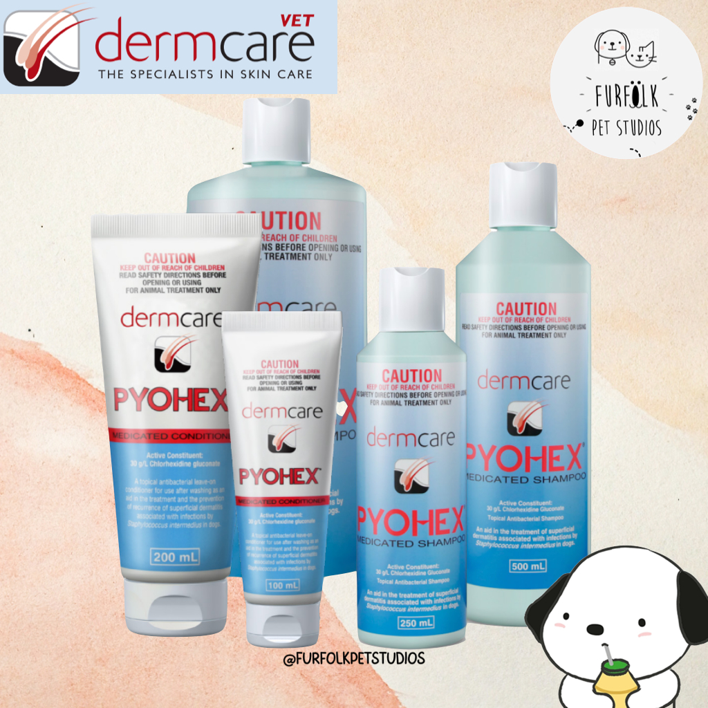 Dermcare pyohex cheap medicated shampoo