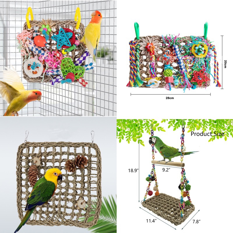 Educational bird outlet toys