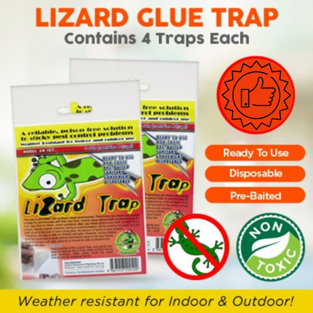 Lizard Glue Trap, Trusted Brand For Lizard Trapping, Lizard Repellent  Alternative
