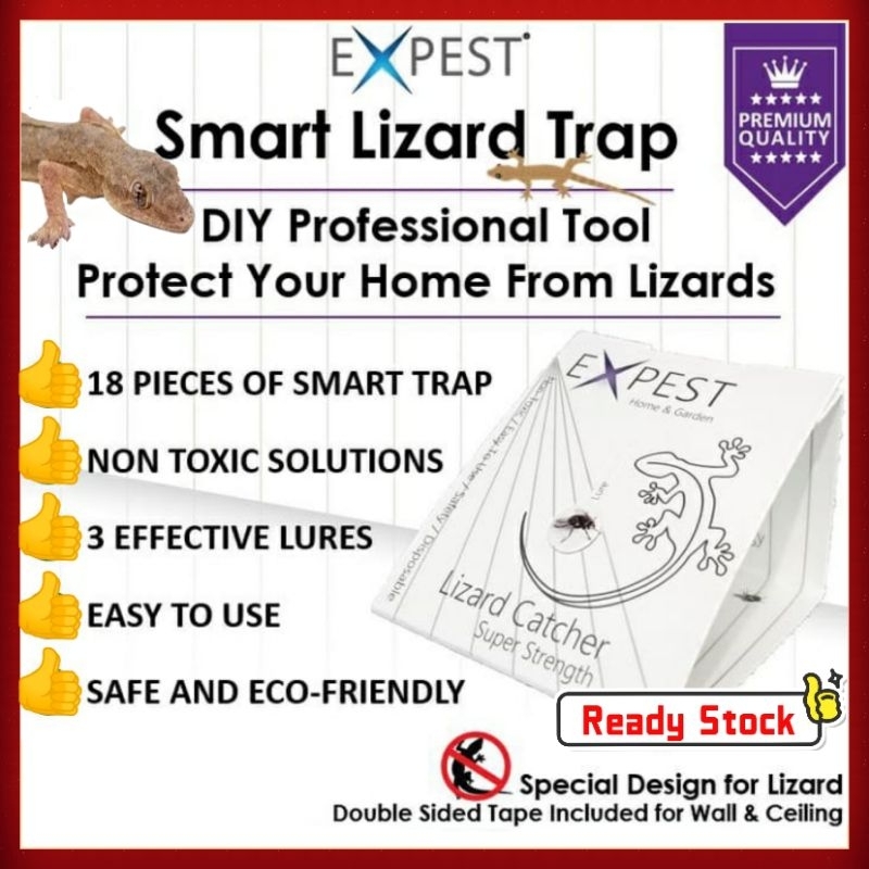 9 Pcs Lizard (Cicak/Gecko) Sticky Smart Trap / Lizard Killer DIY