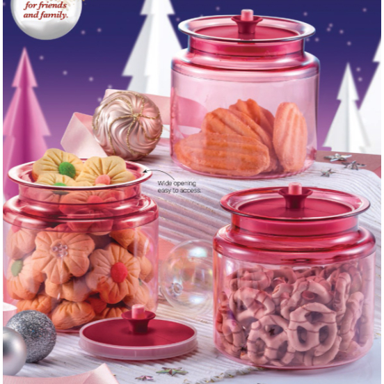 Tupperware Gourmet Counterparts Canister Cookies Jar 900ml ermetico -   Italia