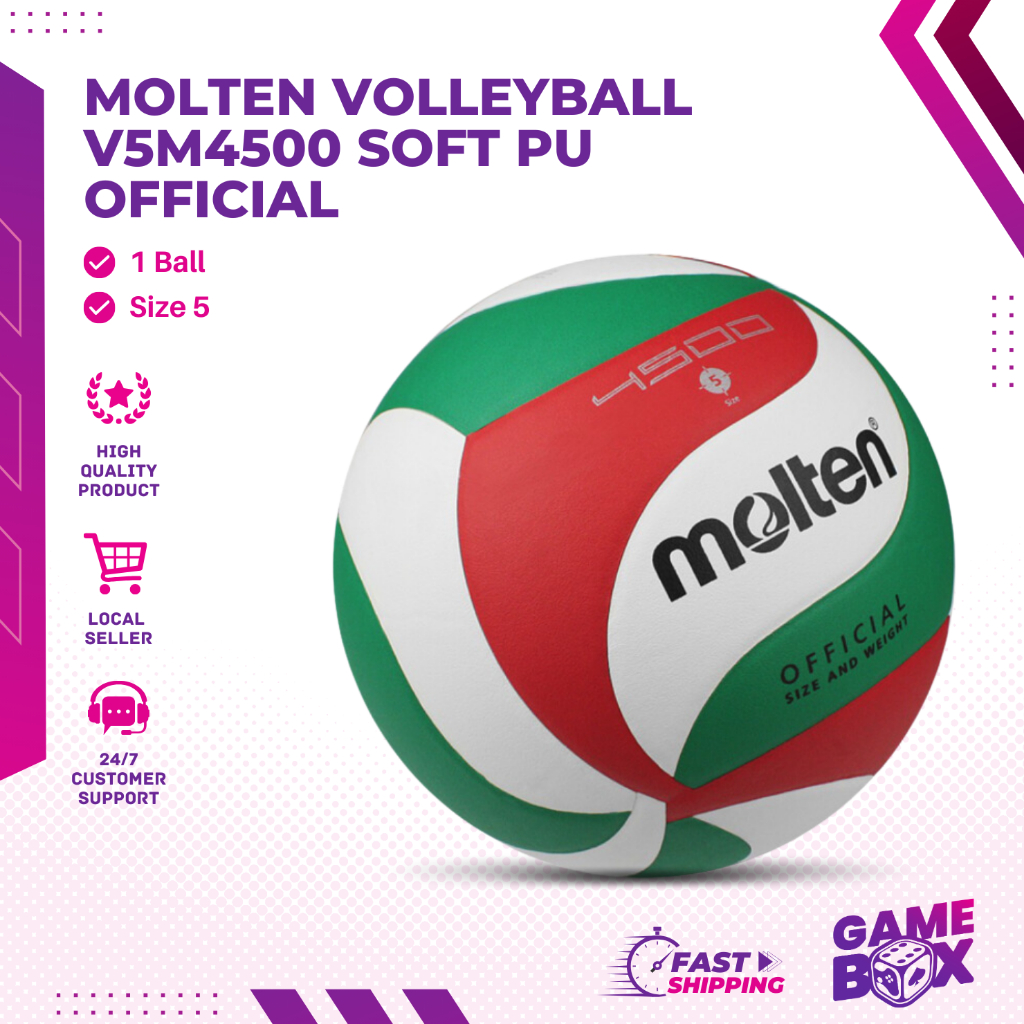 Original Molten V5m5000 Volleyball Ball Official Size