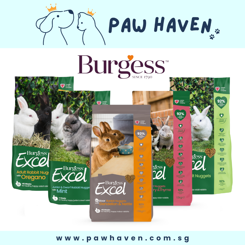 Burgess excel chinchilla outlet nuggets