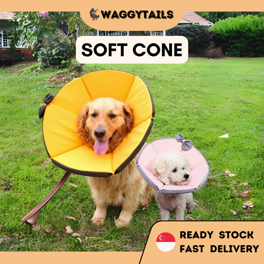 Dog cone clearance pet stock