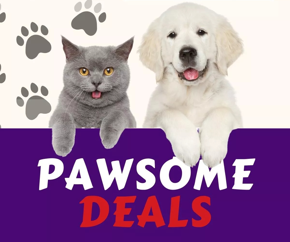Pets Club Official Store, Online Shop Jul 2023 Shopee Singapore