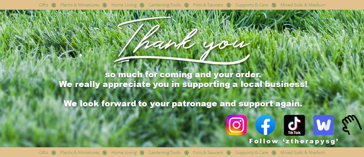 ZTherapy, Online Shop Shopee Singapore