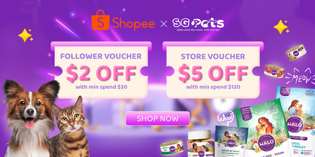 Halo pets outlet coupons