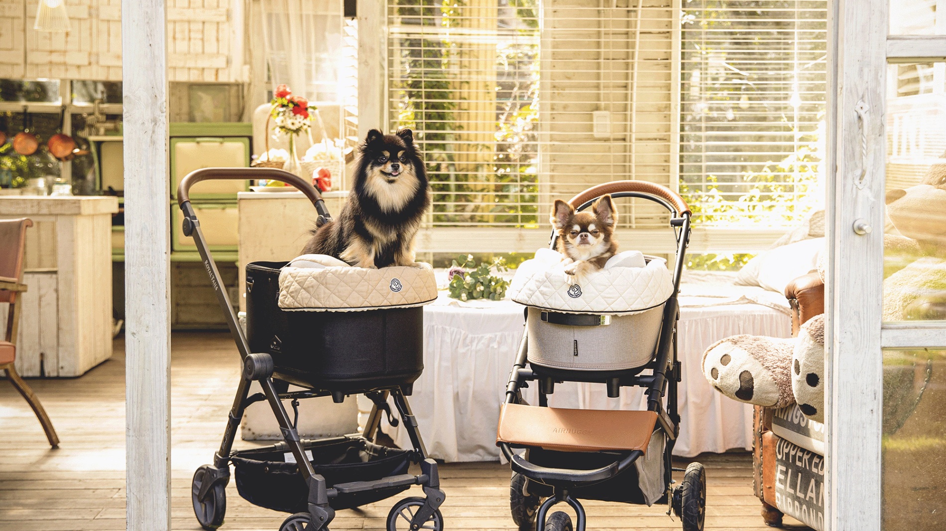 Harryspet] Pet cart Cushion Liner, Plié - Ash Grey (Pet stroller pad, Carry  cushion bed, Perfect as a cool mat in the hot weather)