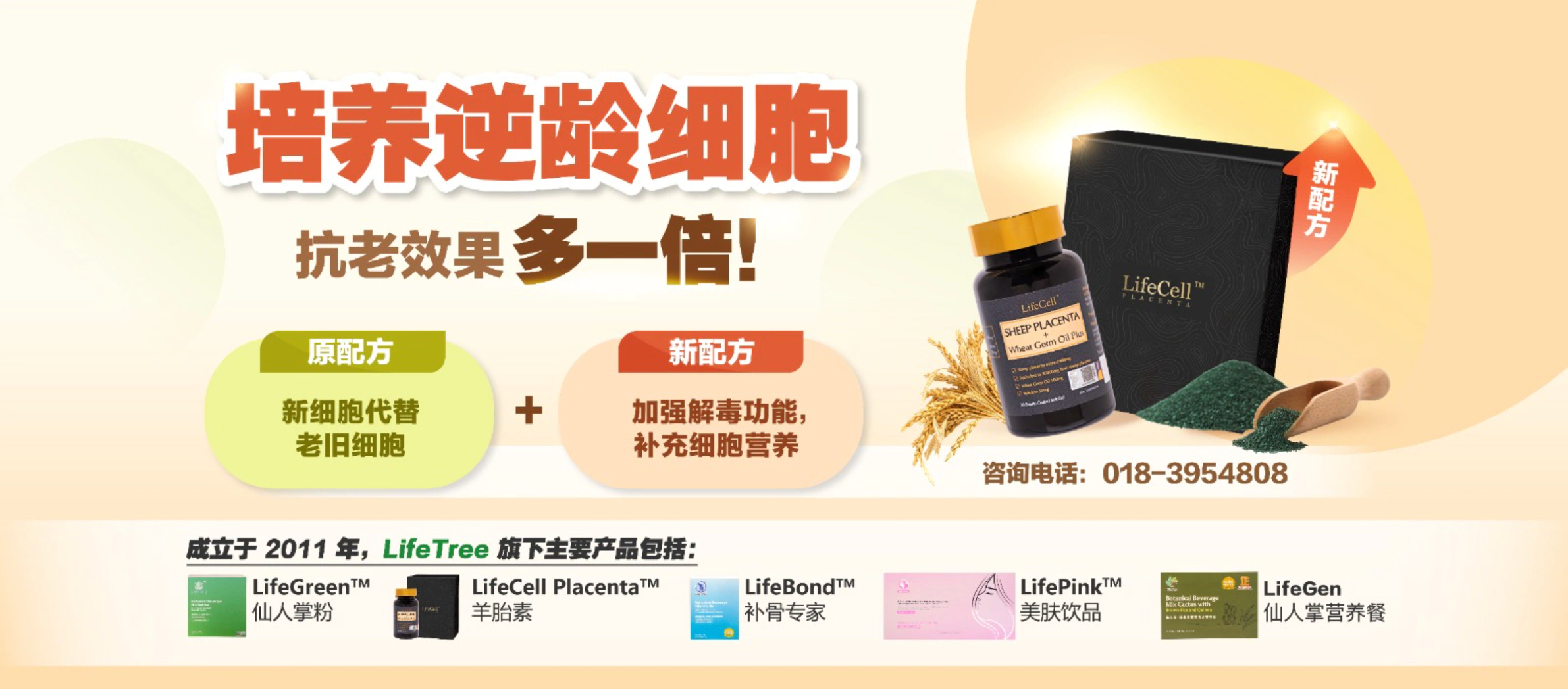 LifeTree Asia SG Official Store, Online Shop | Shopee Singapore