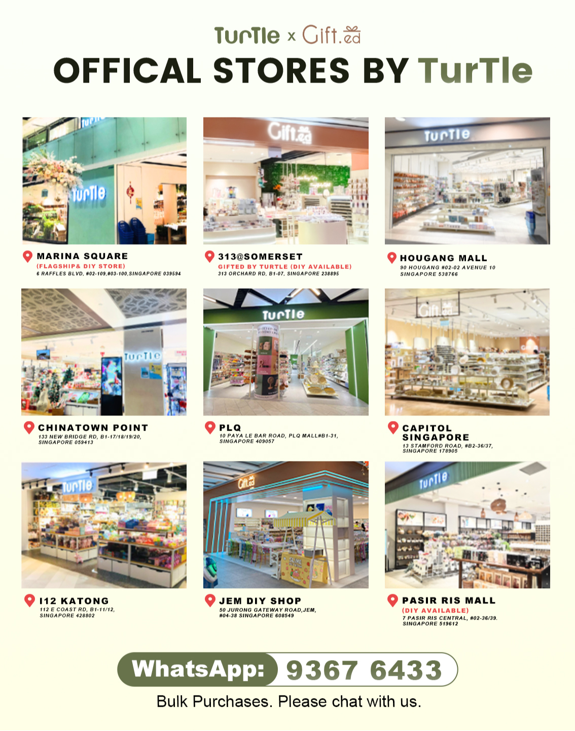 Turtle Singapore, Online Shop Aug 2026 | Shopee Singapore