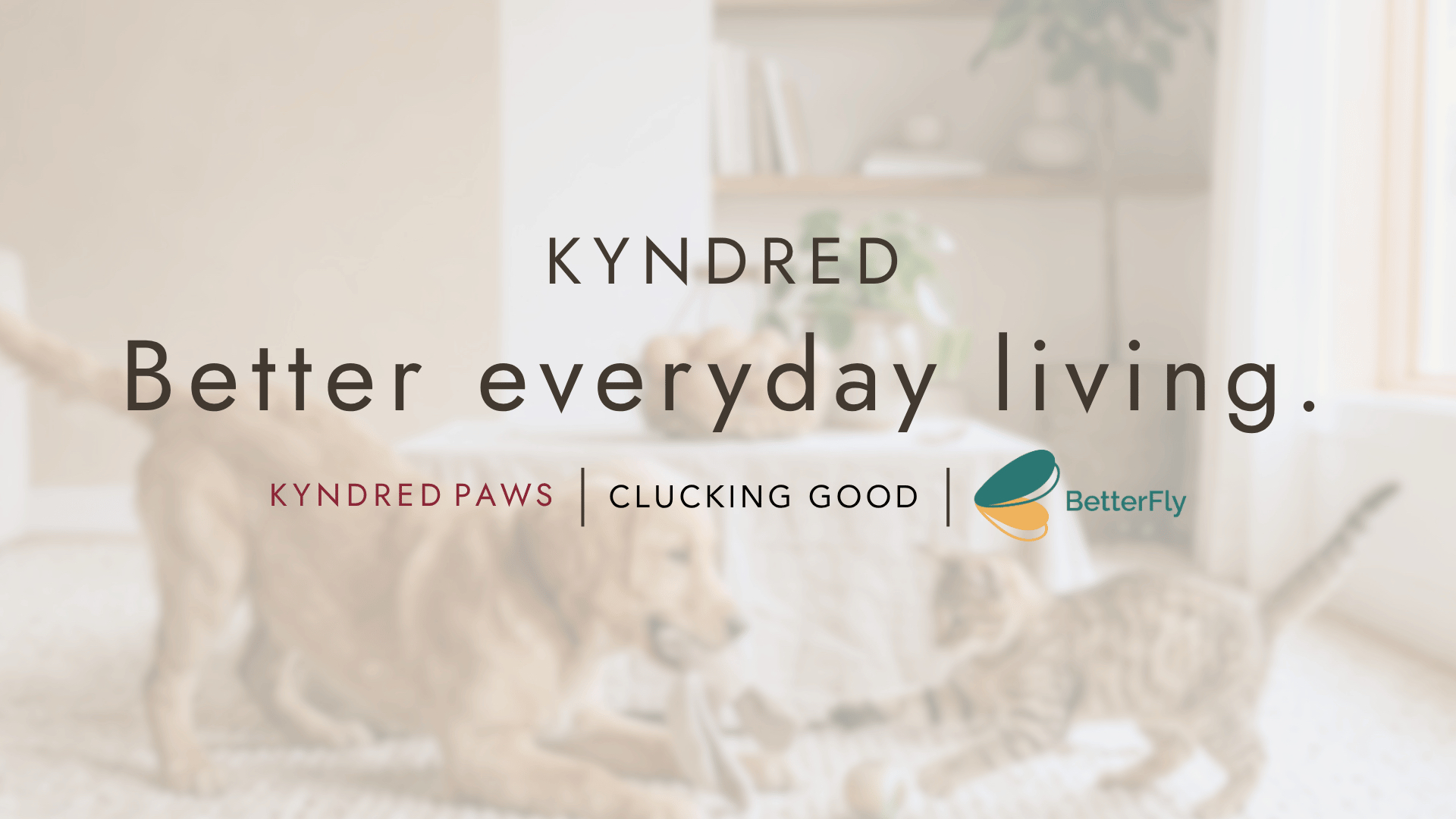 Kyndred Group, Online Shop | Shopee Singapore