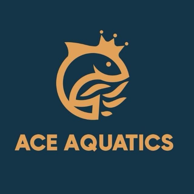 Ace Aquatics, Online Shop Shopee Singapore